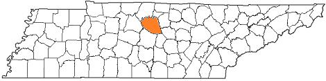 tennessee fire, tennessee firefighters, tn firefighters, tn fire, tennessee fire department, wilson county, wilson county ems, wilson county fire apparatus, wilson county fire departments